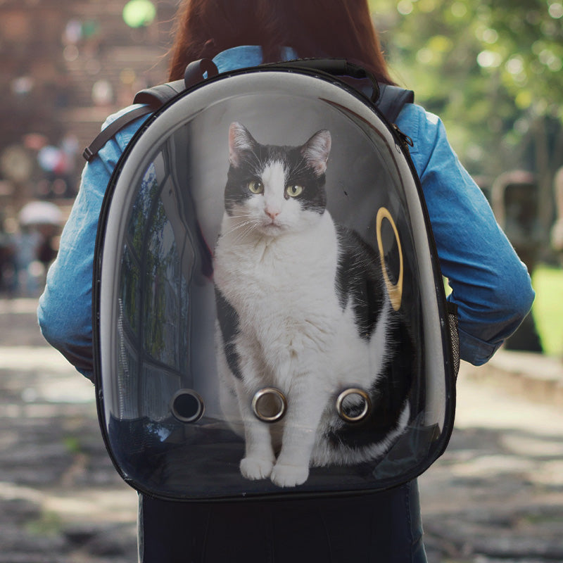 Mochila transportadora para mascotas "Advance"